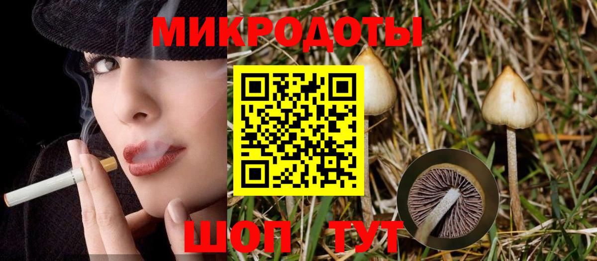 Галлюциногенные грибы Psilocybe  Вход с VPN  Ростов-на-Дону 